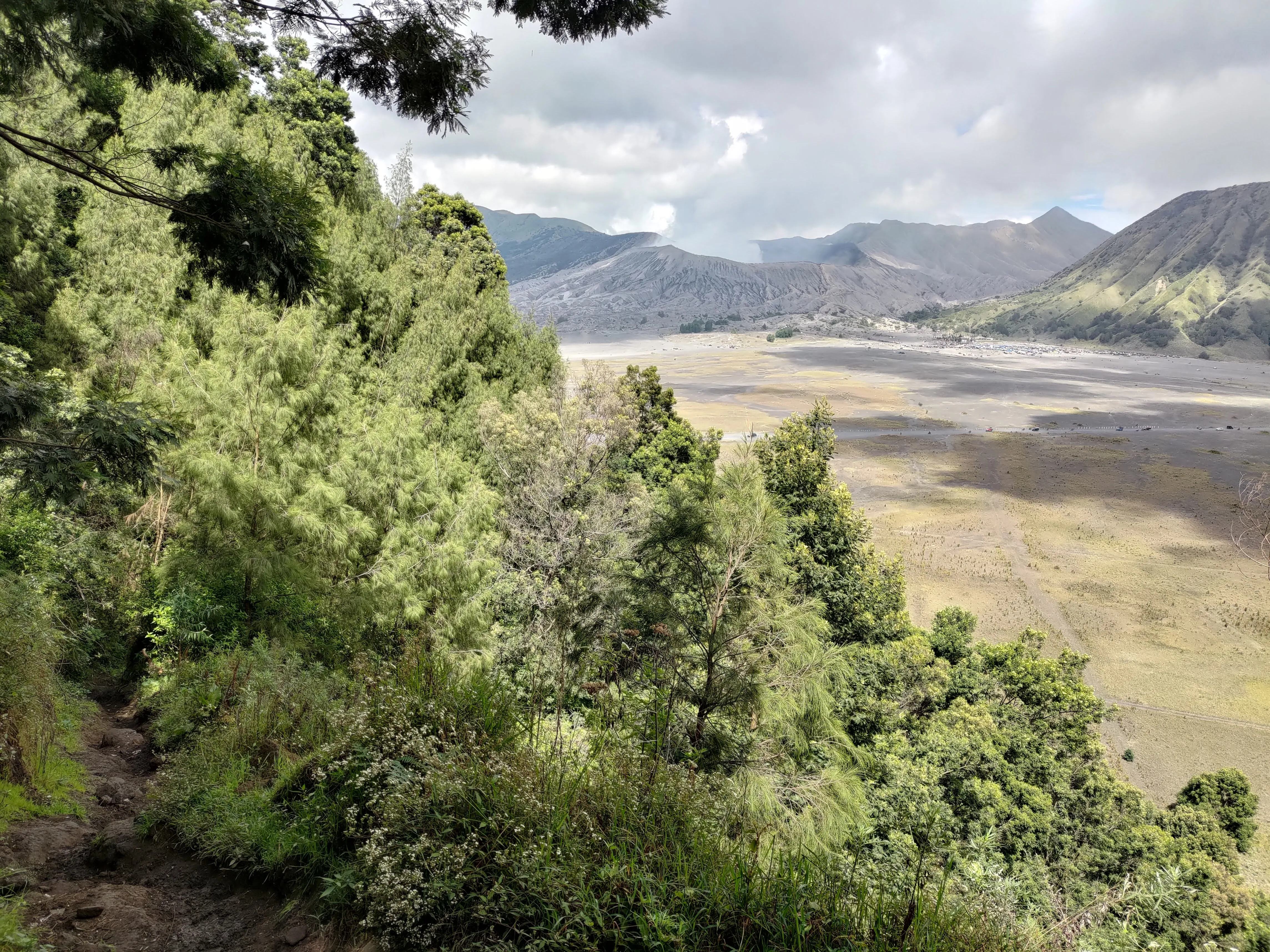 a trail surrounded with bushes while Mount bromo in the background
